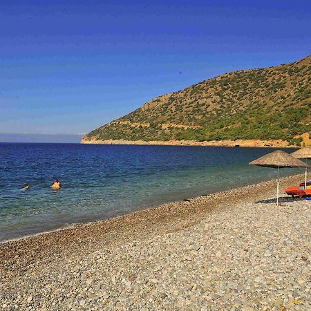 Melinda Pension & Restaurant Mesudiye  Bagian luar foto