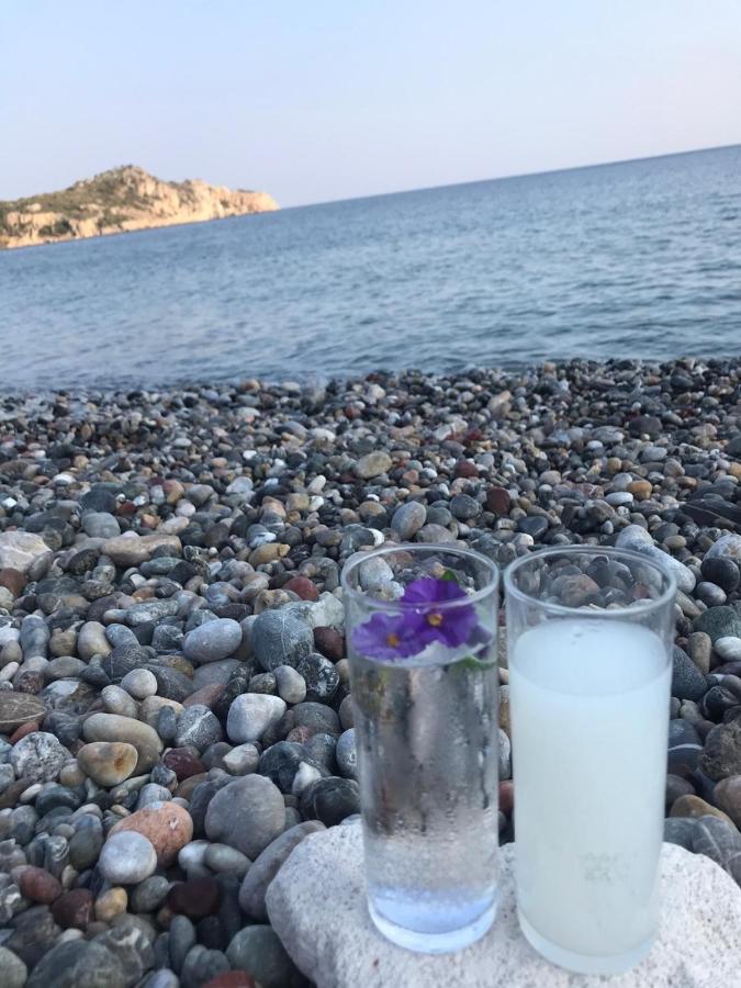 Melinda Pension & Restaurant Mesudiye  Bagian luar foto