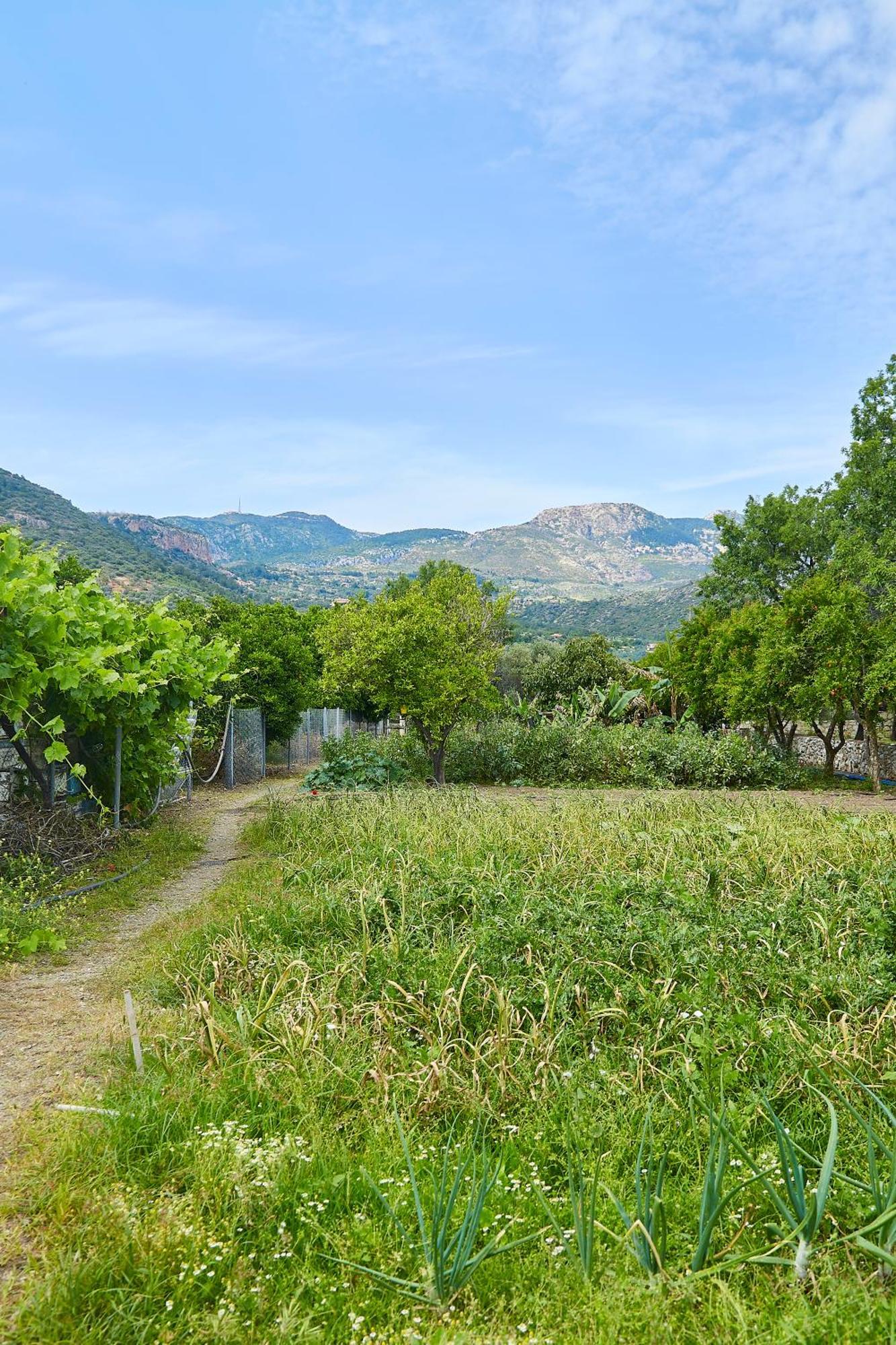 Melinda Pension & Restaurant Mesudiye  Bagian luar foto